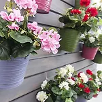 Mareta - Boutique Bed & Breakfast